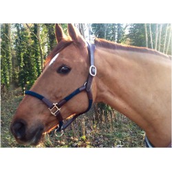 CAVALETTI HALSTER TARA